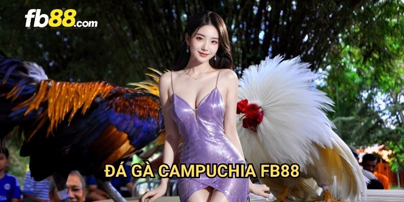 Đá gà Campuchia FB88: Trải nghiệm đấu trường gà chọi quốc tế 1 Đá gà Campuchia FB88: Trải nghiệm đấu trường gà chọi quốc tế