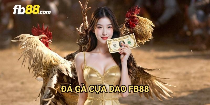 Đá gà cựa dao FB88: Môn thể thao dân gian đầy kịch tính 1 Đá gà cựa dao FB88: Môn thể thao dân gian đầy kịch tính