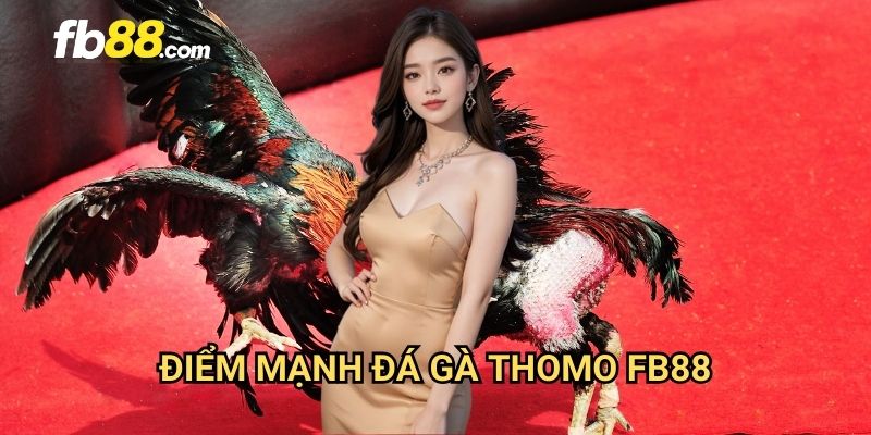 Đá gà Thomo FB88: Sân chơi cá cược đá gà uy tín hàng đầu 2 Điểm mạnh đá gà Thomo FB88