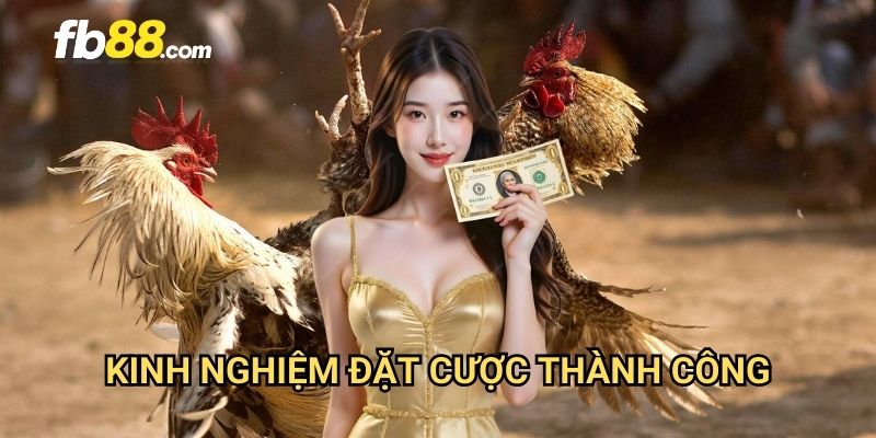 Đá gà cựa dao FB88: Môn thể thao dân gian đầy kịch tính 3 Kinh nghiệm đặt cược thành công