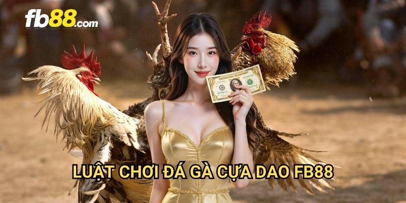 Đá gà cựa dao FB88: Môn thể thao dân gian đầy kịch tính 2 Luật chơi đá gà cựa dao FB88
