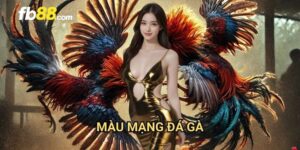 Màu mạng đá gà FB88: Tìm hiểu yếu tố quyết định chiến thắng